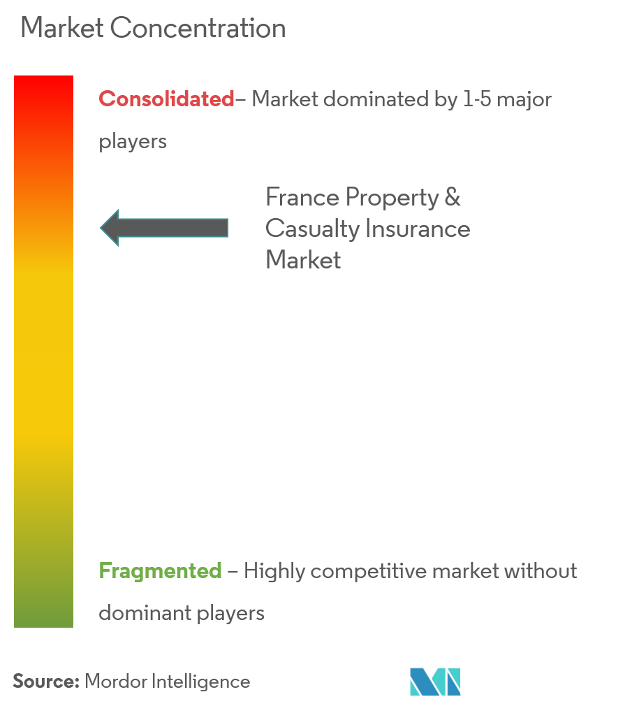 France Property And Casualty Insurance Market Concentration